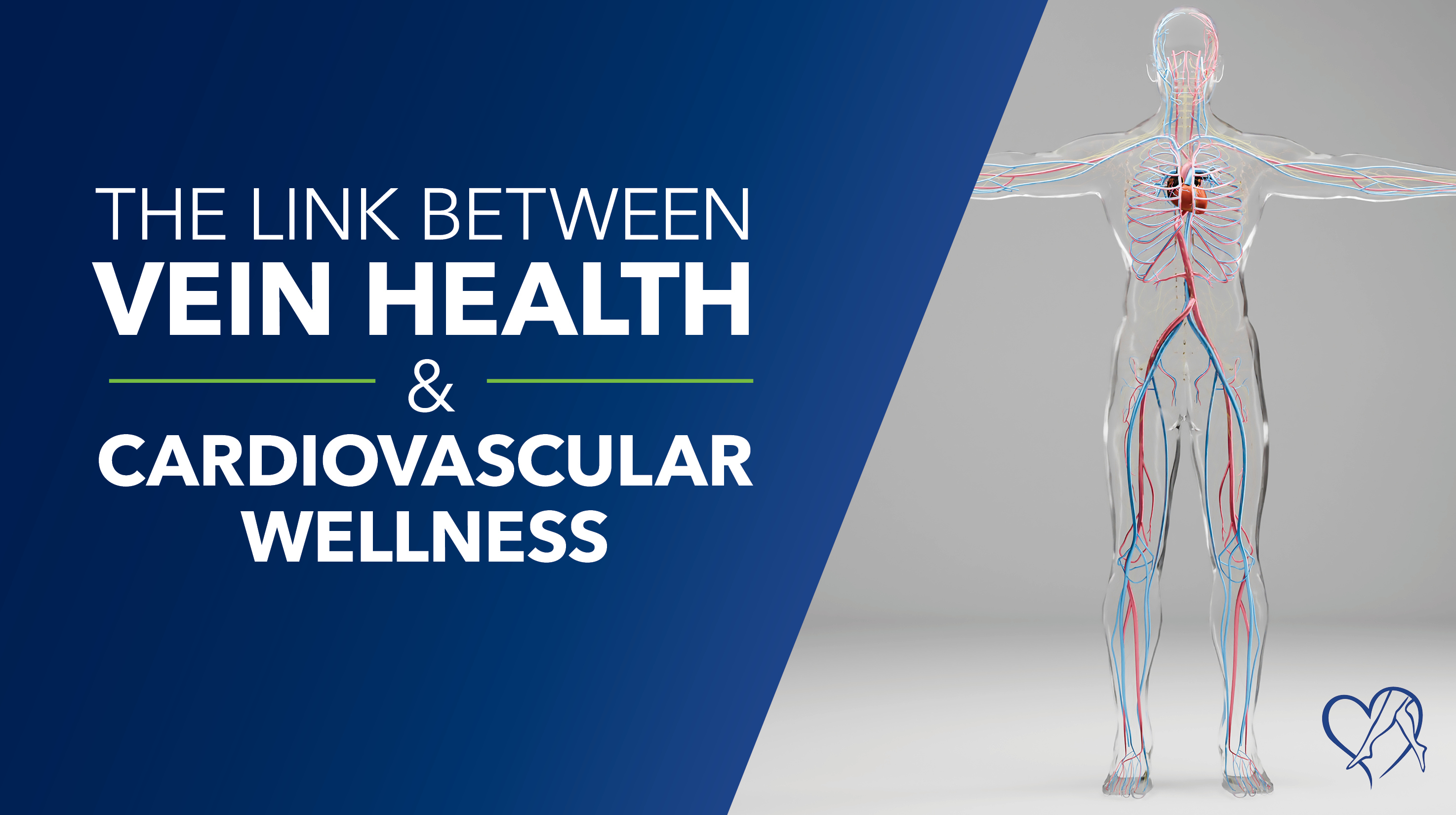 Blog Vein Health Cardio Wellness Thumbnail