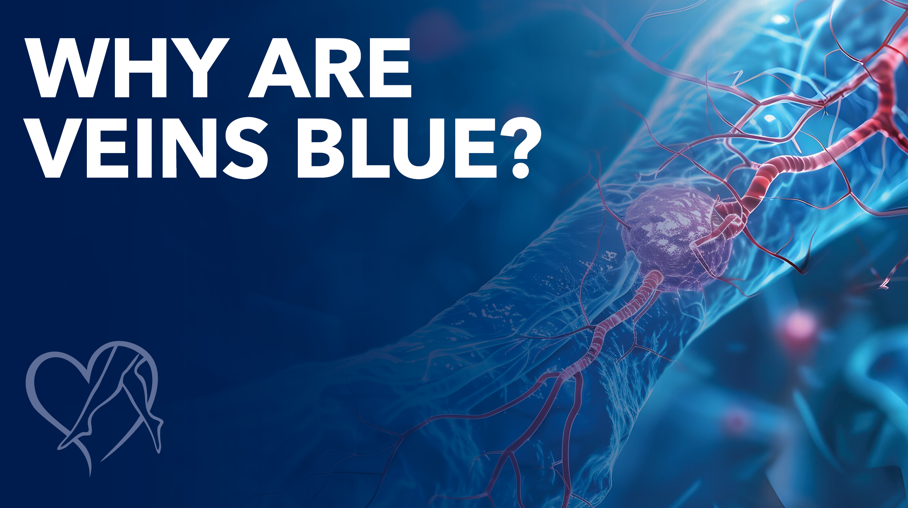 Blog Why Are Veins Blue Thumbnail