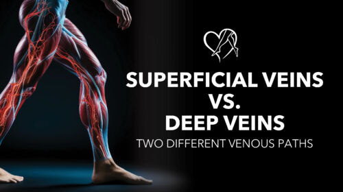 Blog Image Superficial Veins Deep Veins Thumbnail