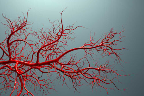 Smoking vein health