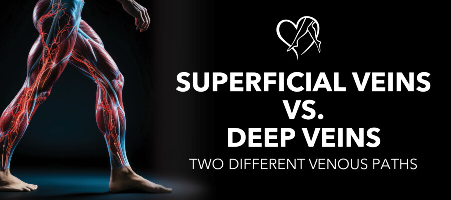Blog Image Superficial Veins Deep Veins