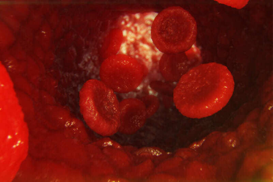 Illustration red blood cells in vein red blood cells flow in vessel illustration