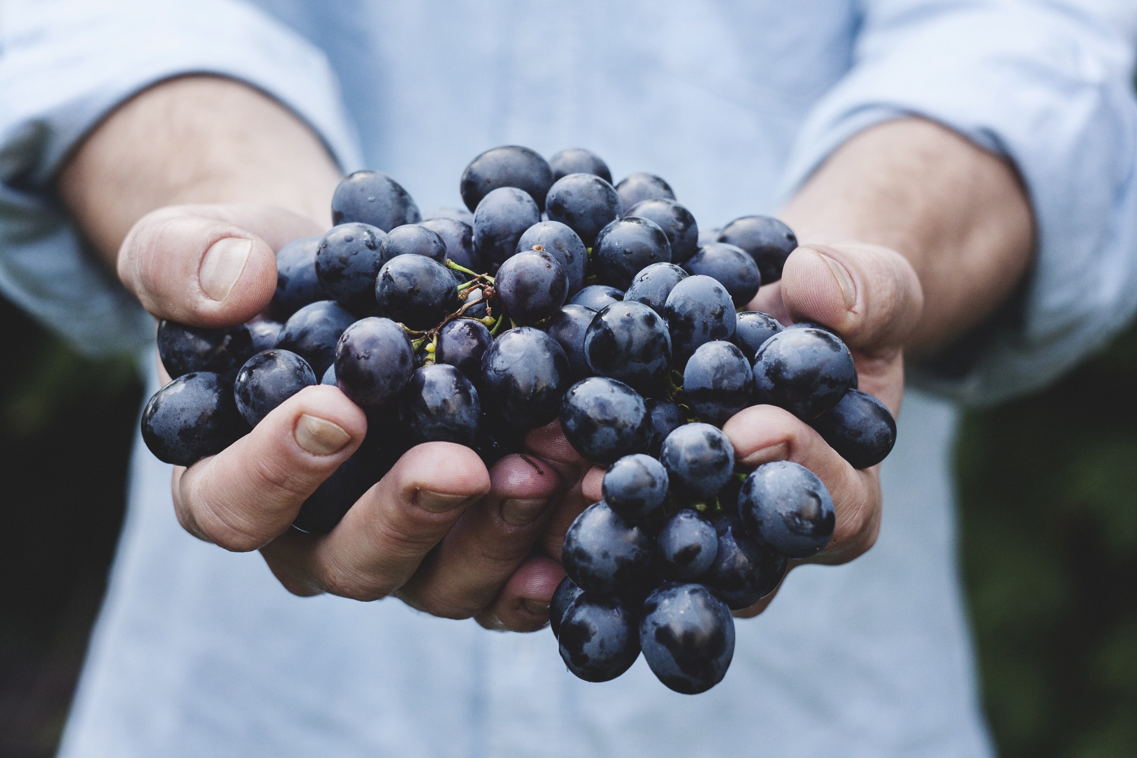 Grapes and healthy food for skin