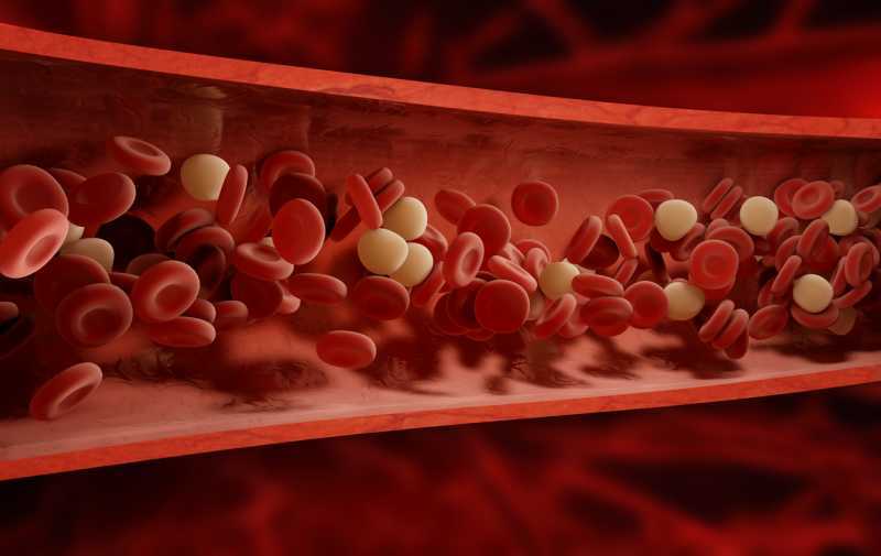blood dna vein causes