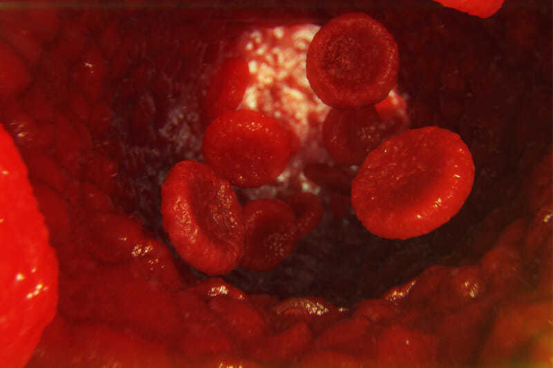 Ilustración glóbulos rojos en las venas flujo de glóbulos rojos en los vasos imagen